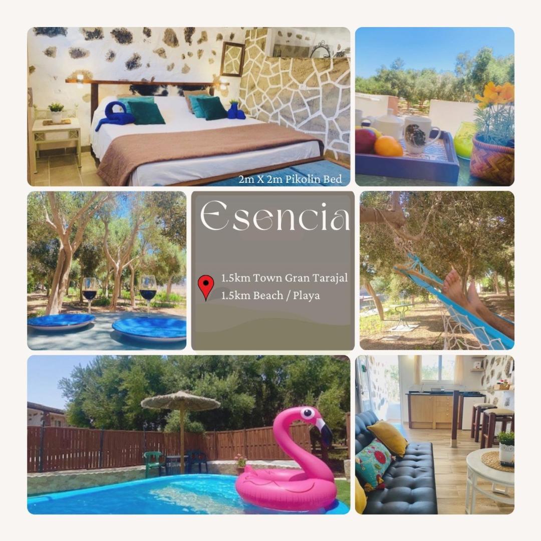 Bungalow Alma #Only Adults El Charco  ภายนอก รูปภาพ